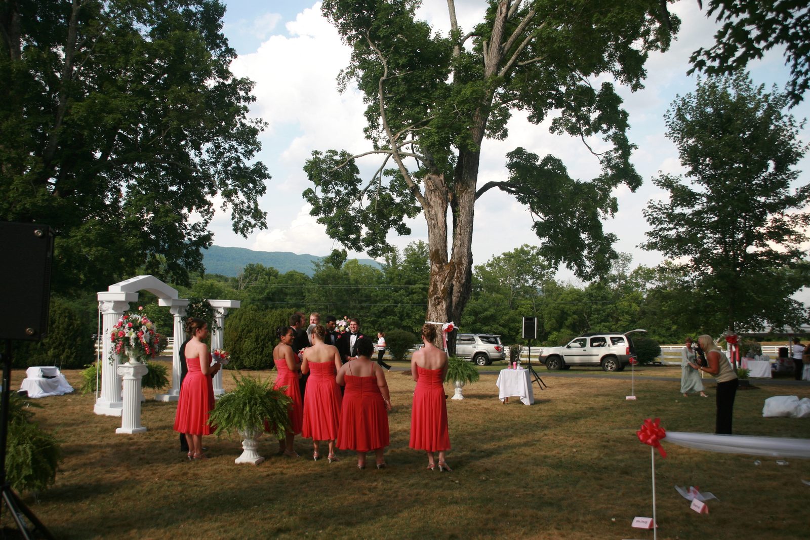 The wedding party tries to organize for pictures.